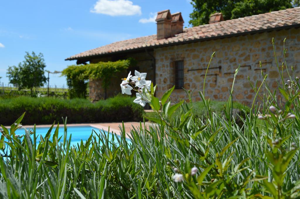 Agriturismo Eco-Bio Villa Vacasio ปีติญาโน ภายนอก รูปภาพ