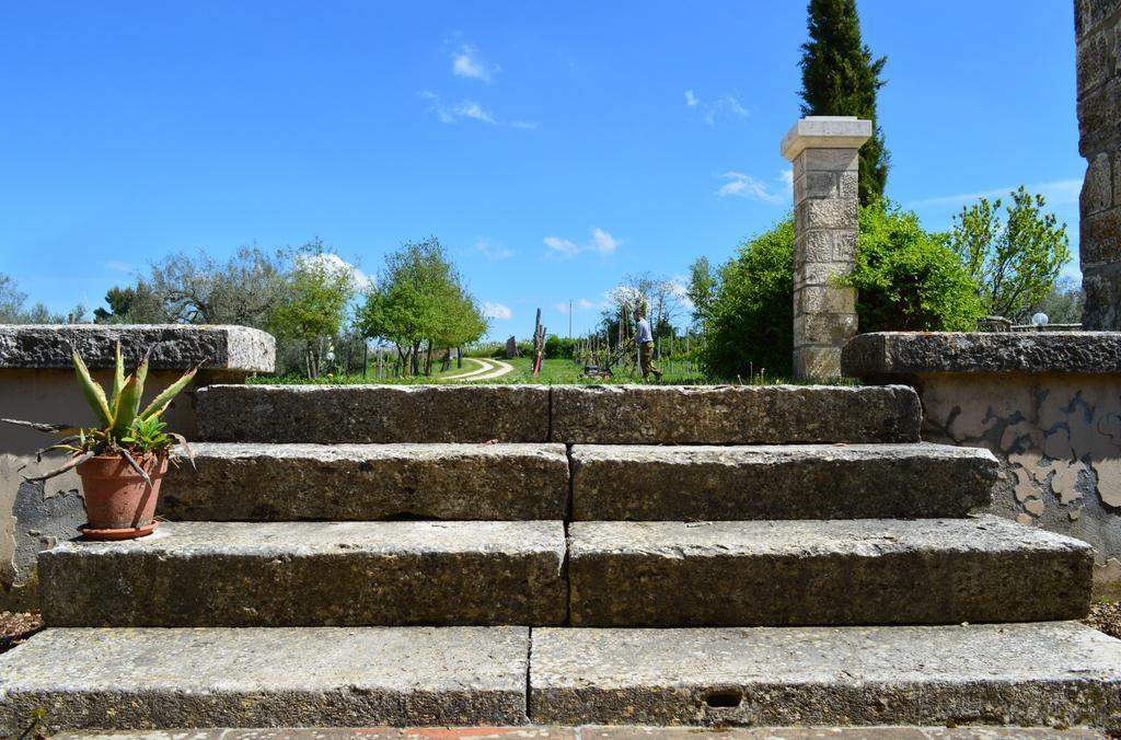 Agriturismo Eco-Bio Villa Vacasio ปีติญาโน ภายนอก รูปภาพ