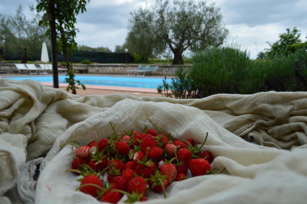 Agriturismo Eco-Bio Villa Vacasio ปีติญาโน ภายนอก รูปภาพ