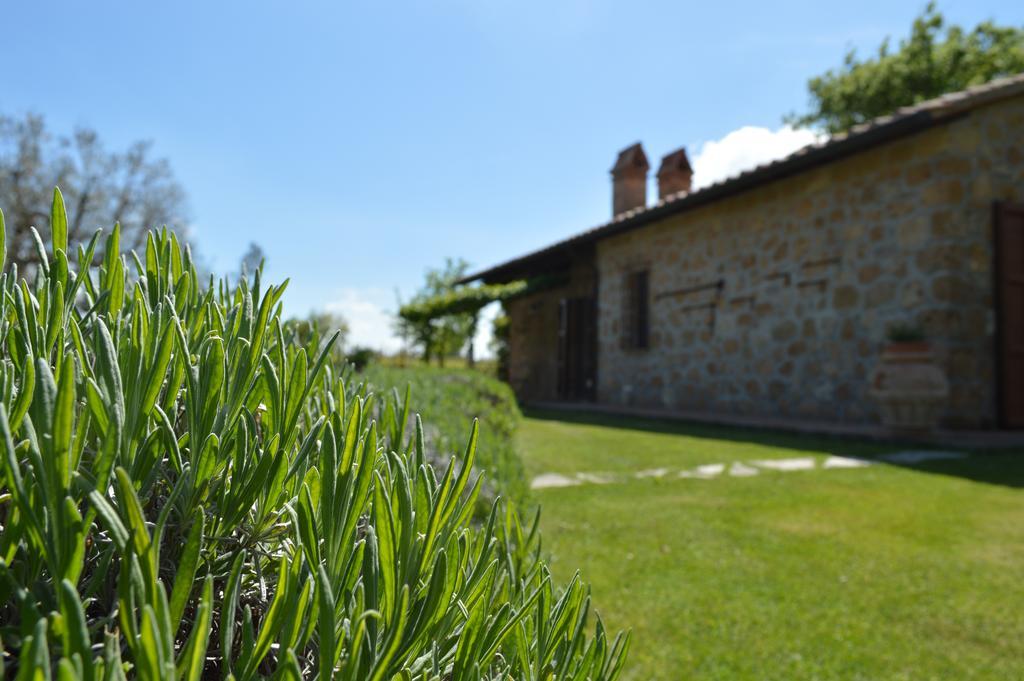 Agriturismo Eco-Bio Villa Vacasio ปีติญาโน ภายนอก รูปภาพ